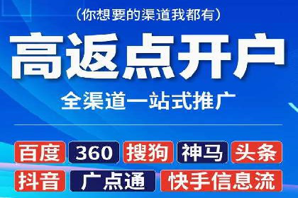 SEM搜索引擎优化成功案例，揭示优化策略与技巧